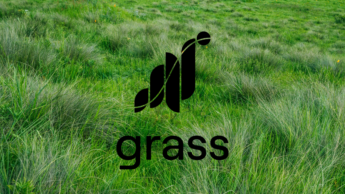 The Grass Network: Realigning Incentives for an Open AI Future